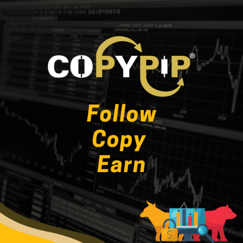 Vi_copypip